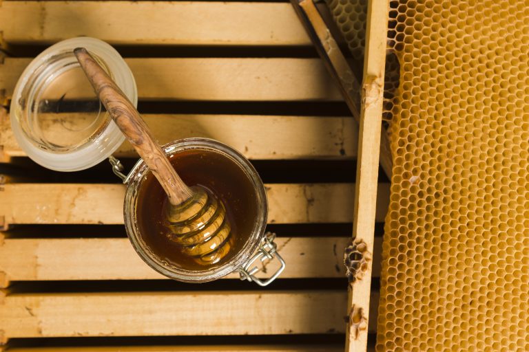Presentation: History of Bee-Keeping
